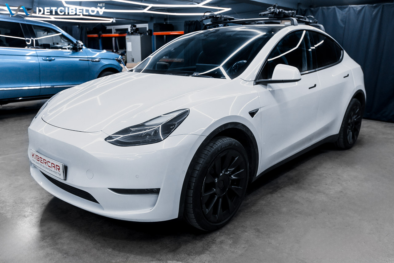 Model Y