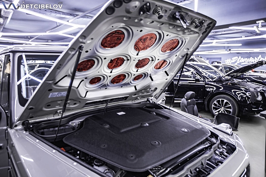 Капот и крышка багажника