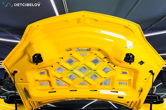 Капот и крышка багажника